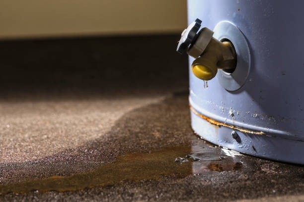 Best Fire Damage Restoration  in Babson Park, FL