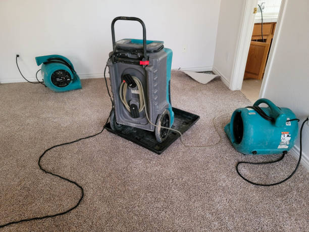 Best Emergency water damage restoration  in Babson Park, FL