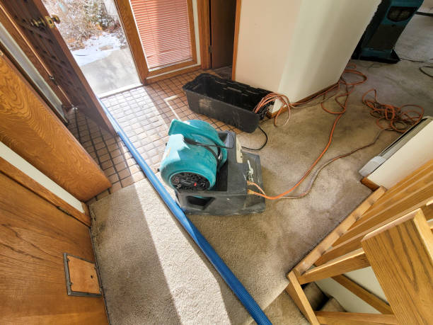 Best Basement water damage restoration  in Babson Park, FL