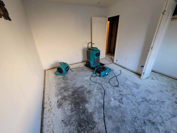 Best Water damage contractors near me  in Babson Park, FL