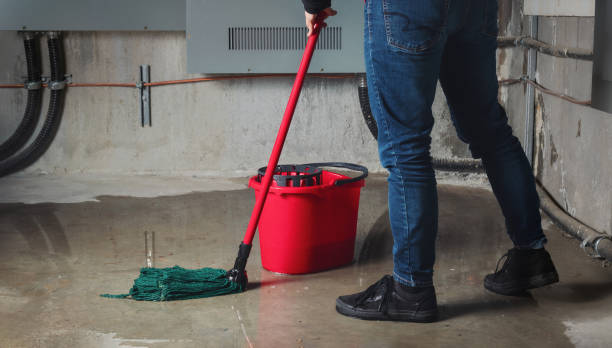 Best Flood damage cleanup  in Babson Park, FL
