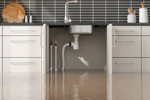 Best Water damage contractors near me  in Babson Park, FL